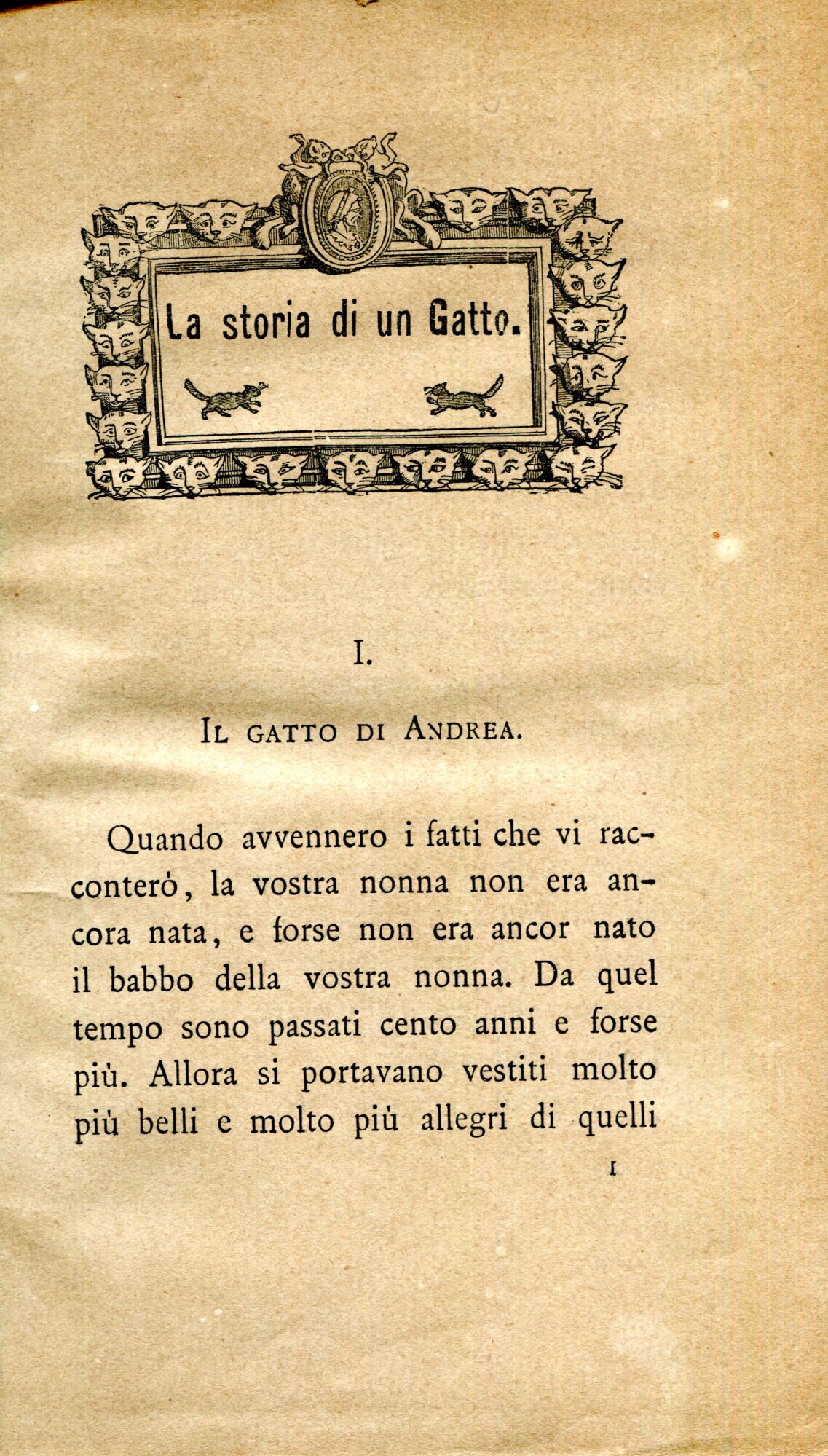 La storia di un gatto