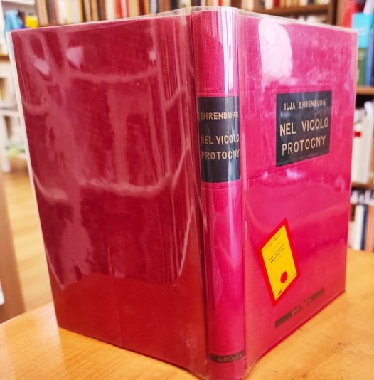 Nel vicolo Protocny : romanzo