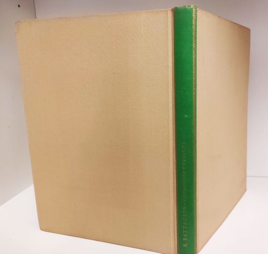 Occasioni critiche : (saggi di letteratura italiana)