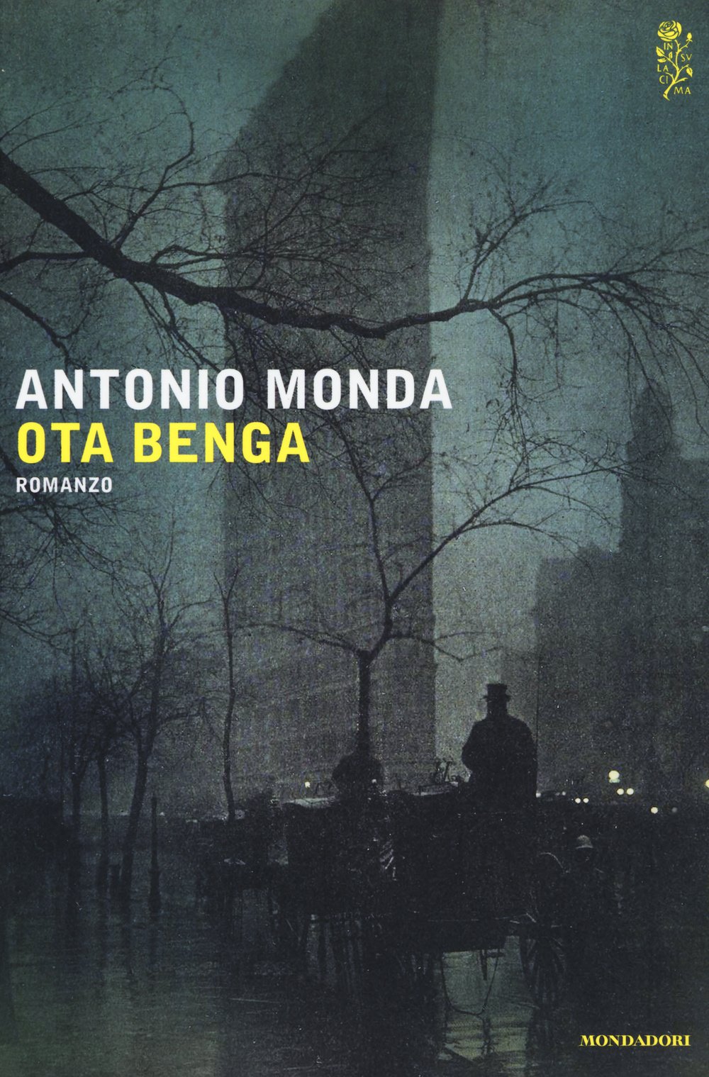 Ota Benga. Romanzo