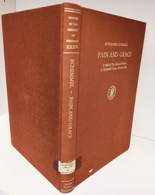 Pain and grace : a study of two mystical writers …