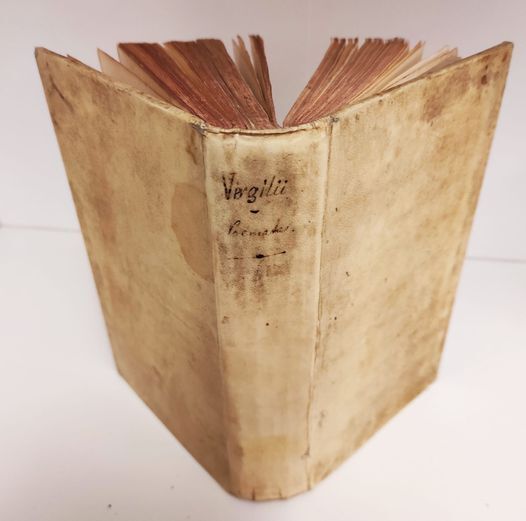 Publii Virgilii Maronis Poemata, Cum Notis Selectis Caroli Ruaei S …