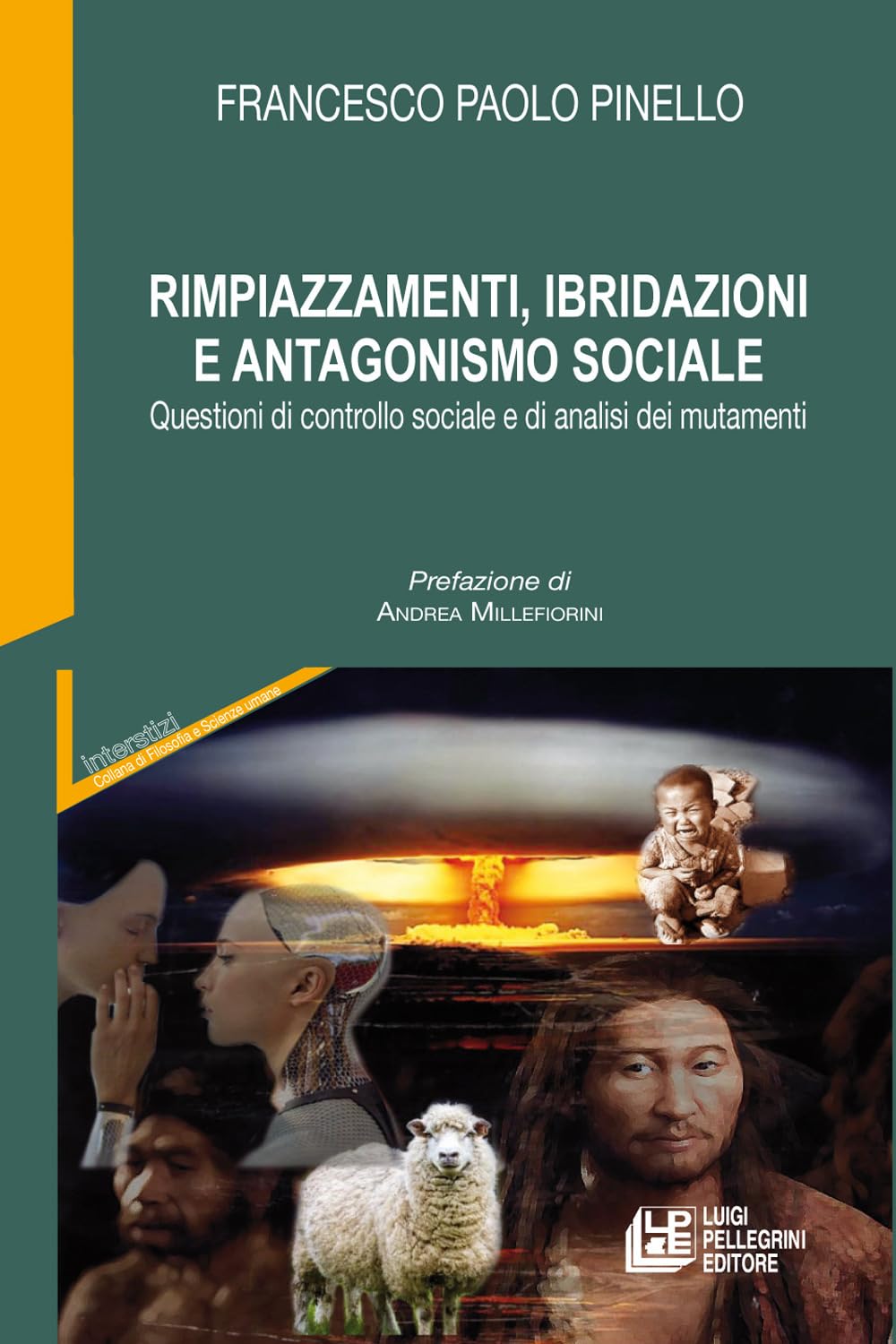 Rimpiazzamenti, ibridazioni e antagonismo sociale. Questioni di controllo sociale e …