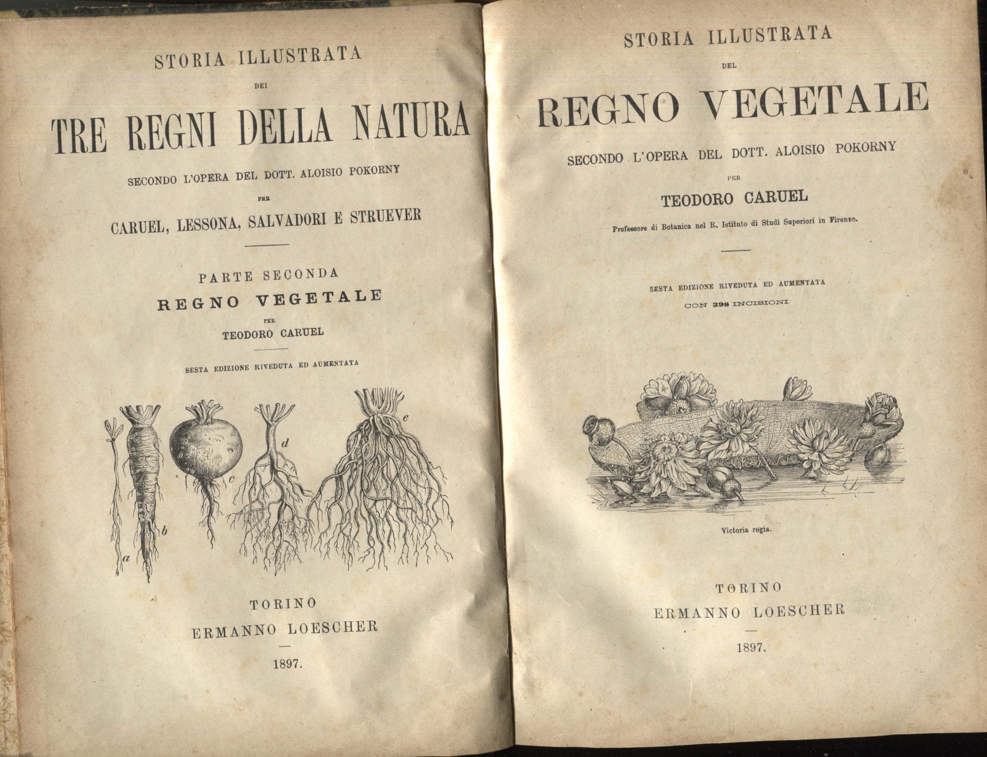 Storia illustrata dei tre regni della natura secondo l'opera del …