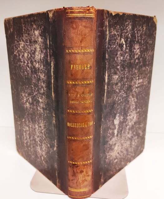 Vita e costumi degli animali: 4. Molluschi e zoofiti. 3. …