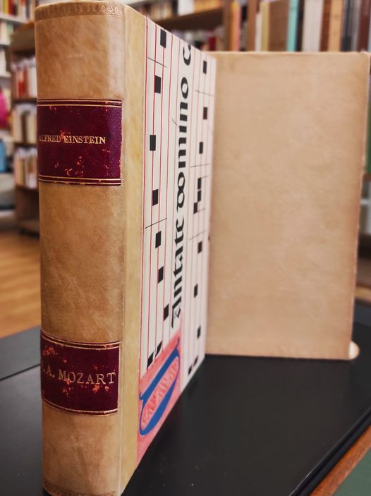 W. A. Mozart : il carattere e l'opera