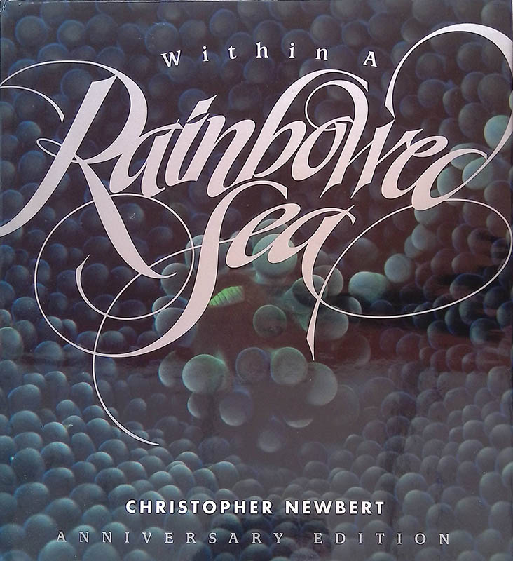 A celebration of within a rainbowed sea