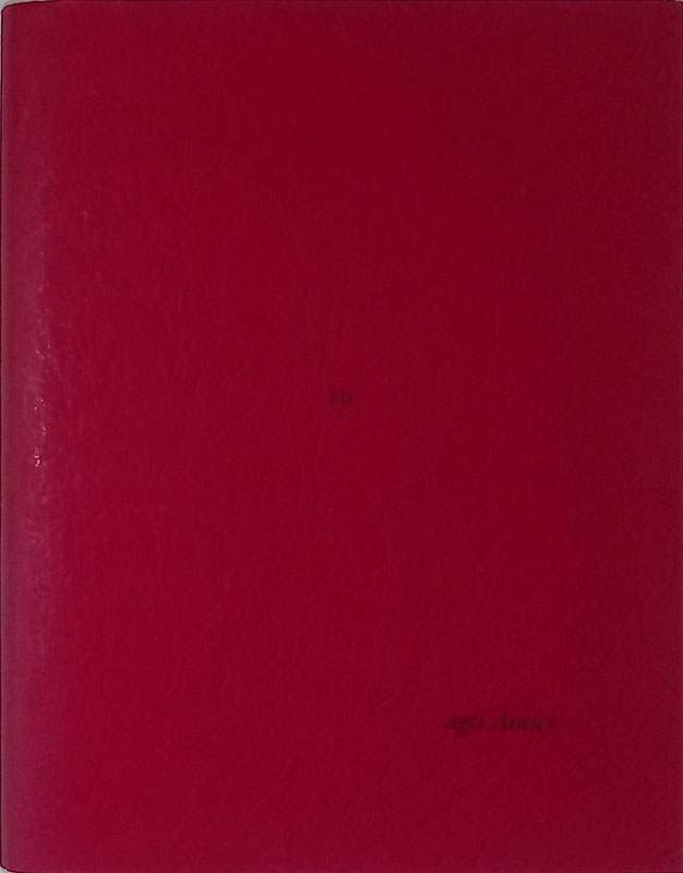 Agli Amici n.16. Lettera di Dino Carlesi. Lettera aperta semiseria …
