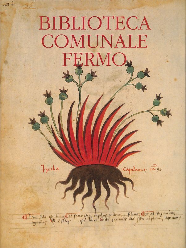 Biblioteca Comunale Fermo