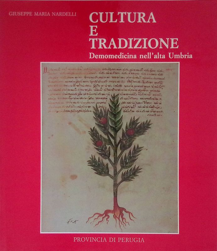 Cultura e tradizione. Demomedicina nell'alta Umbria
