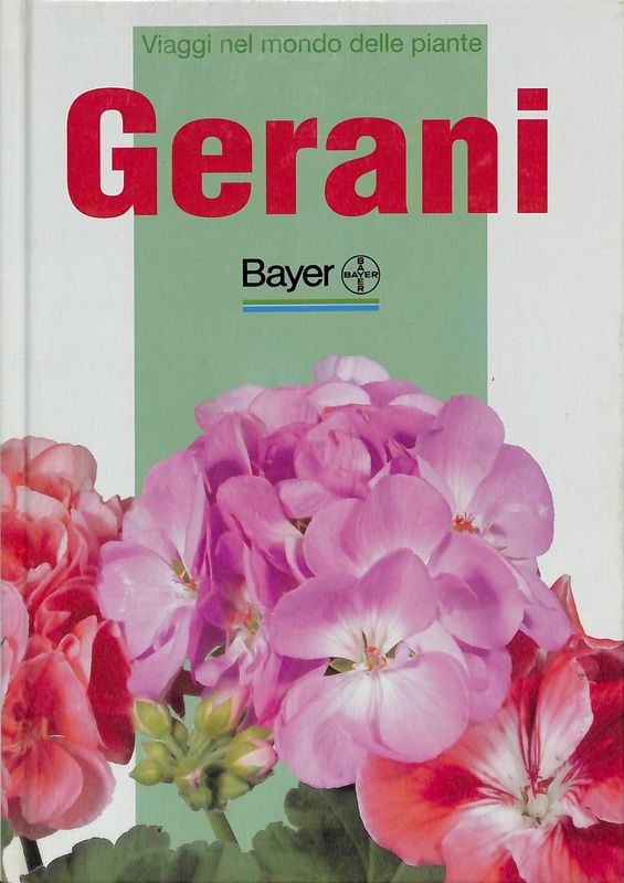 Gerani