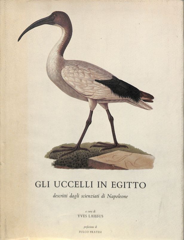 Gli uccelli in egitto descritti dagli scienziati di Napoleone