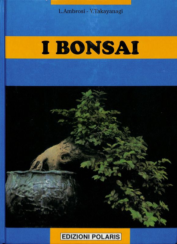 I bonsai