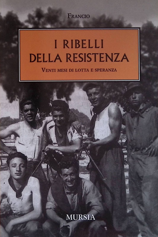 I ribelli della resistenza. Venti mesi di lotta e speranza