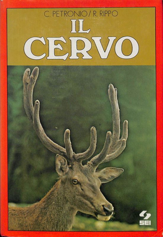 Il cervo