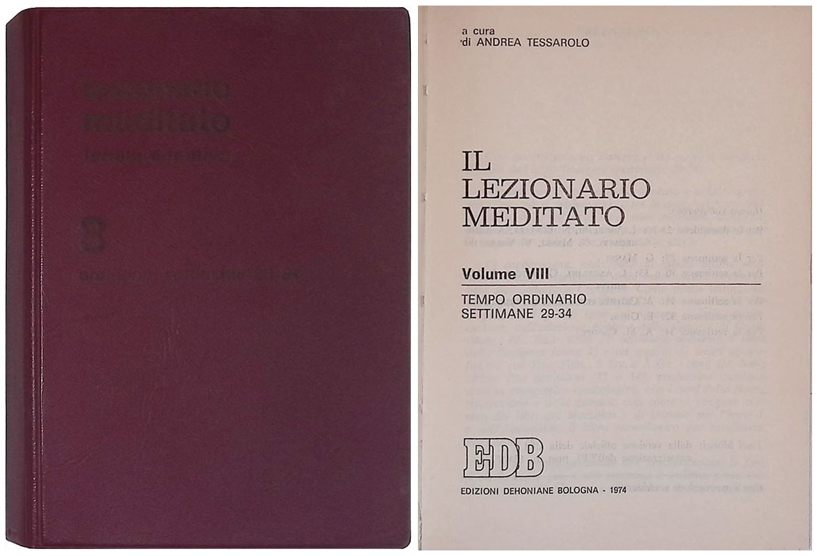 Il lezionario meditato. Vol. VIII - Tempo ordinario, Settimane 29-34