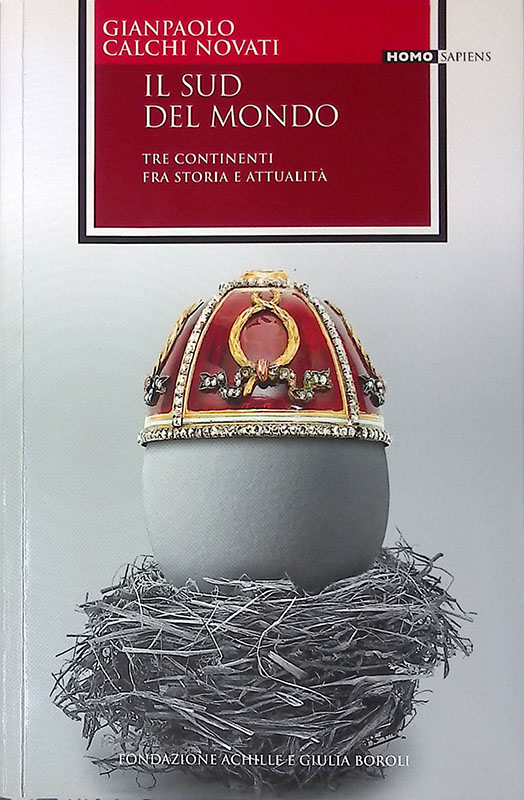 Il sud del mondo. Tre continenti fra storia e attualità