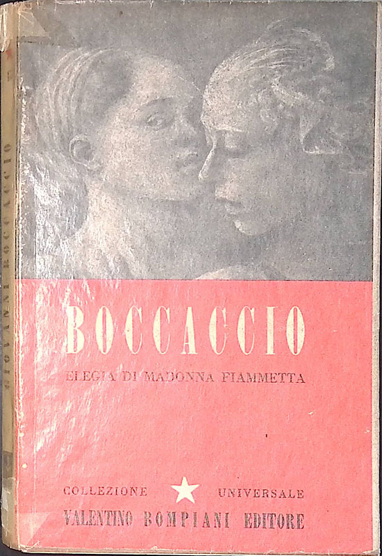 L'Elegia di madonna Fiammetta