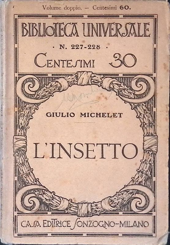 L'insetto
