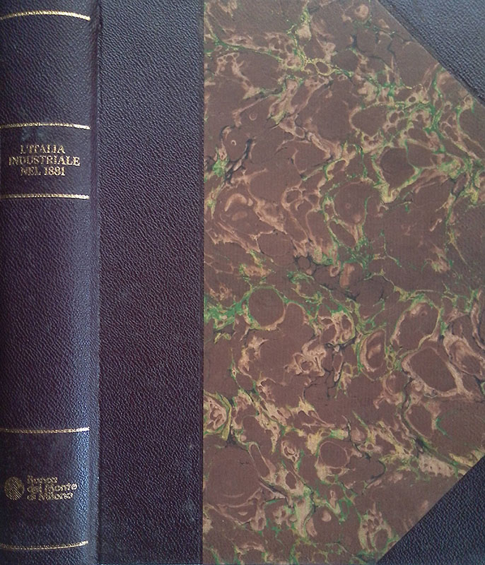 L'Italia Industriale nel 1881. Conferenze sulla Esposizione Nazionale di Milano