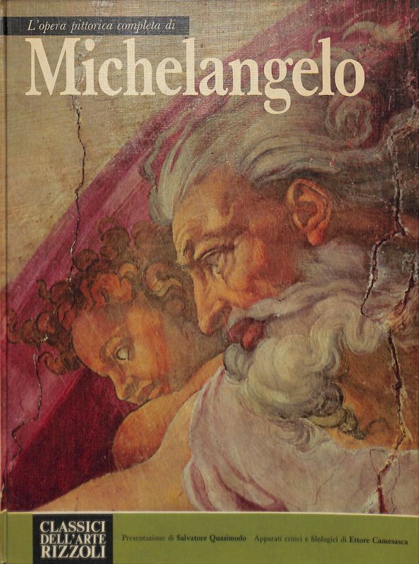 L'opera completa di Michelangelo pittore