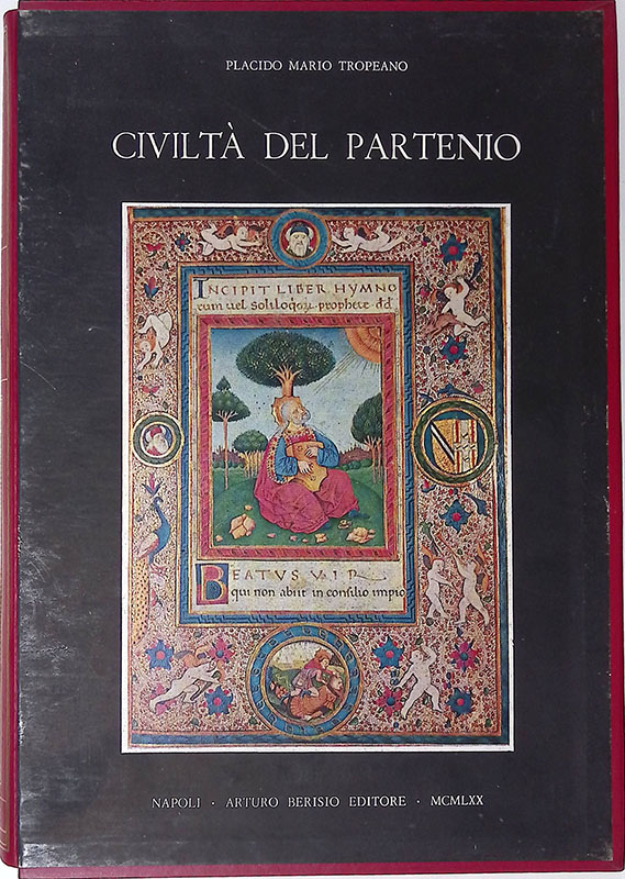 La civiltà del partenio. La Biblioteca di Montevergine nella cultura …