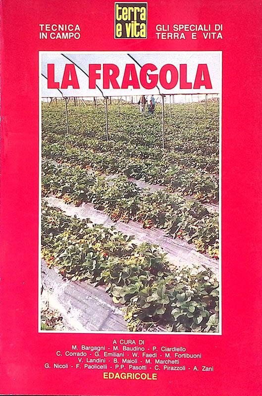La fragola