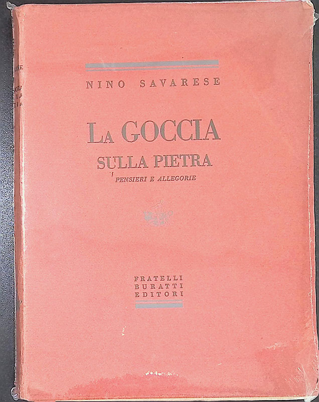 La goccia sulla pietra. Pensieri e allegorie