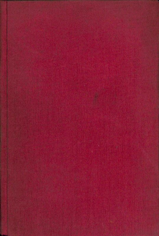 La madre. Romanzo di vita russa