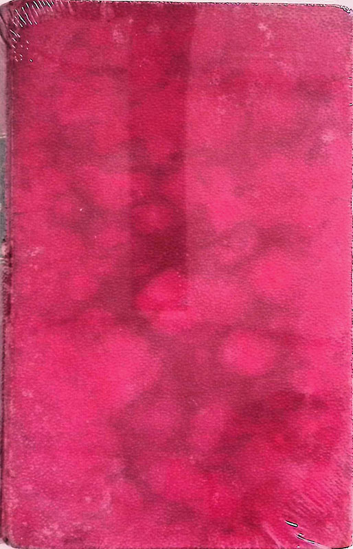 La passione di Fiume. Diari, cronache, documenti