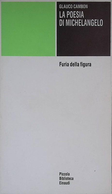La poesia di Michelangelo. Furia della figura
