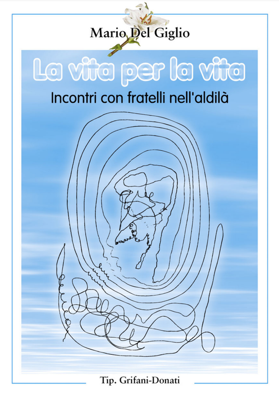La vita per la vita. Incontri con fratelli nell'aldilà