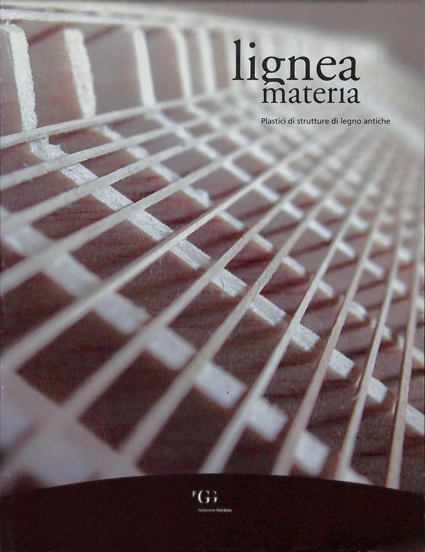 Lignea materia. Plastici di strutture di legno antiche