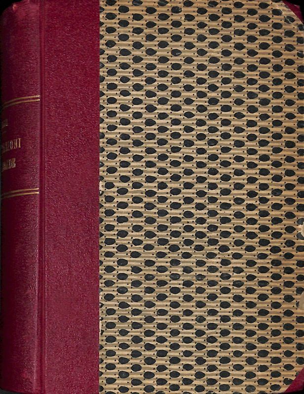 Meditazioni vagabonde. Saggi critici