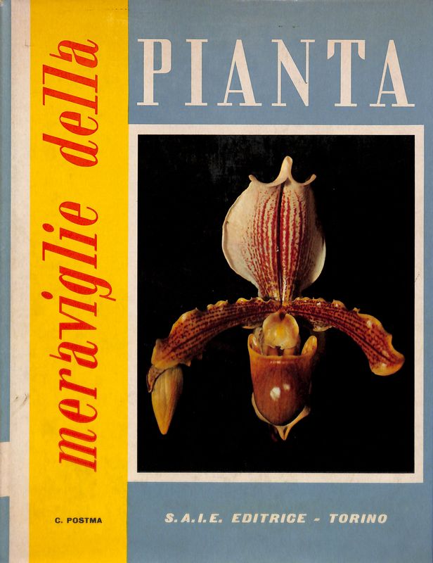 Meraviglie della pianta