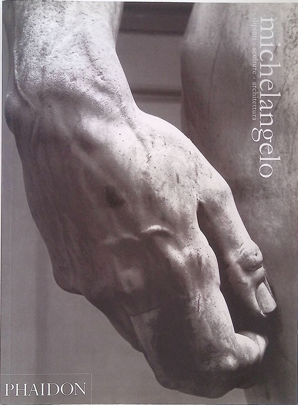 Michelangelo. Dipinti, sculture, architettura