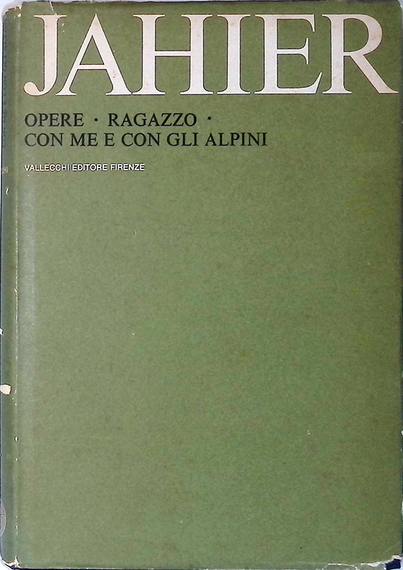 Ragazzo - Con me e con gli alpini