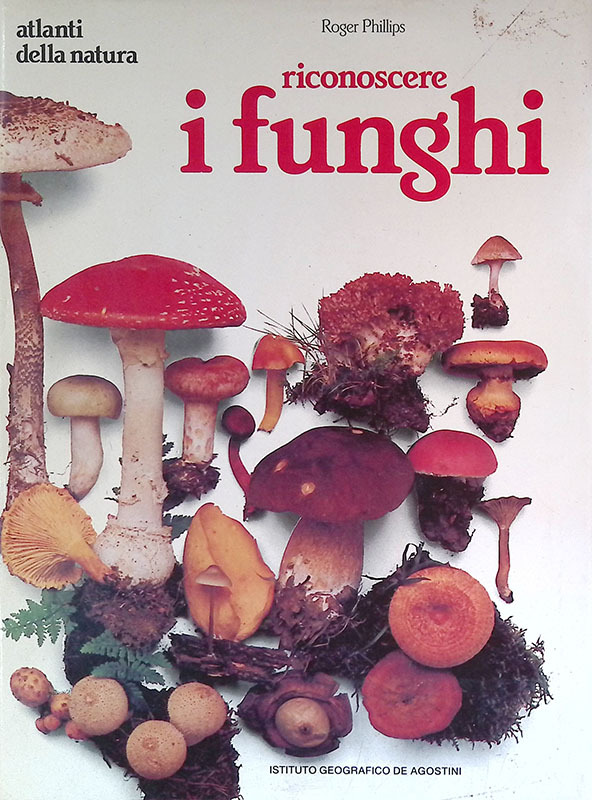 Riconoscere i funghi