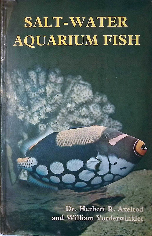 Salt-water aquarium fish