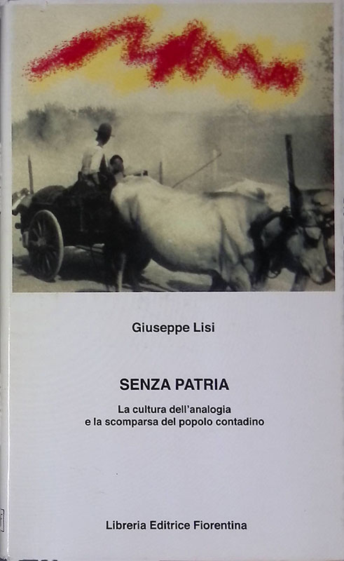 Senza patria. La cultura dell'analogia e la scomparsa del popolo …