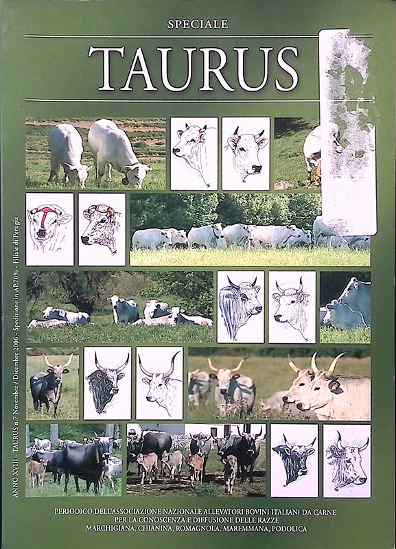 Taurus. Speciale Anno XVIII N.7 novembre-dicembre 2006