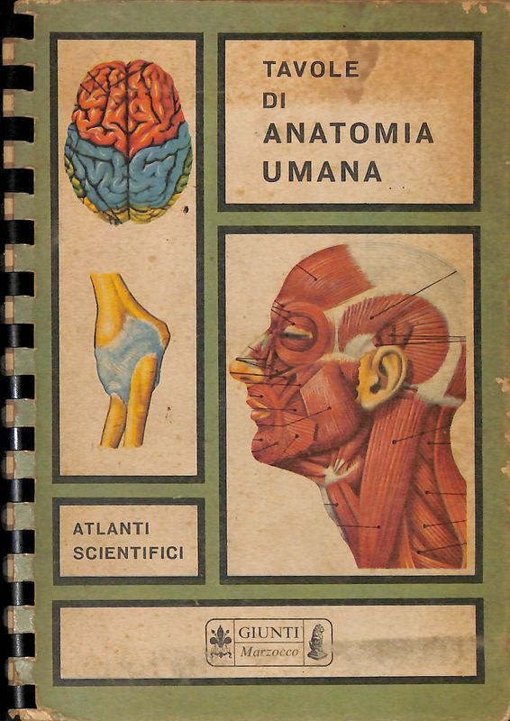 Tavole di anatomia umana