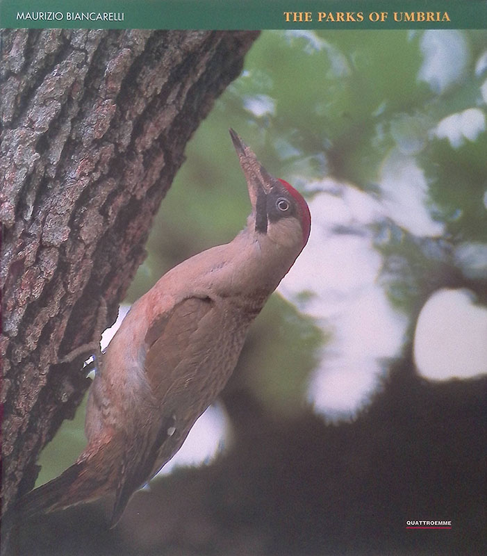 The parks of Umbria