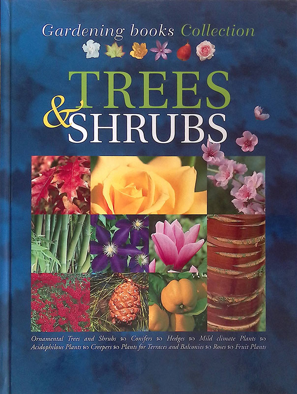 Trees and Shrubs. Ornamental Trees and Shrubs, Conifers, Hedges, Mild …