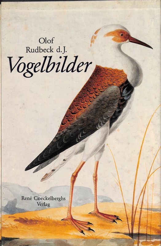 Vogelbilder