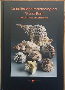 La collezione malacologica "Bruno Bosi". Museo Civico di Castelleone