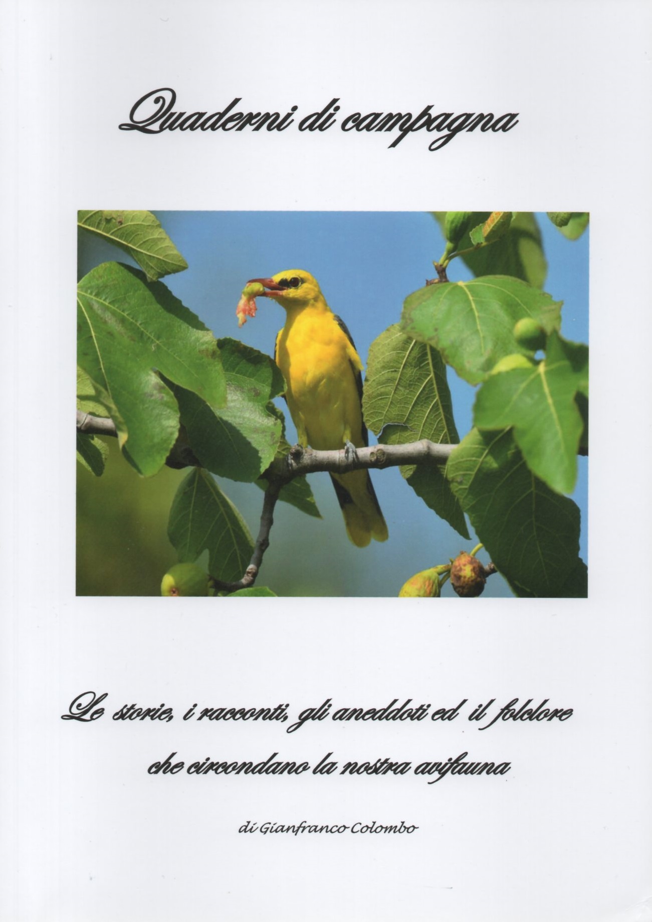 Le storie, i racconti, gli aneddoti ed il folclore che …