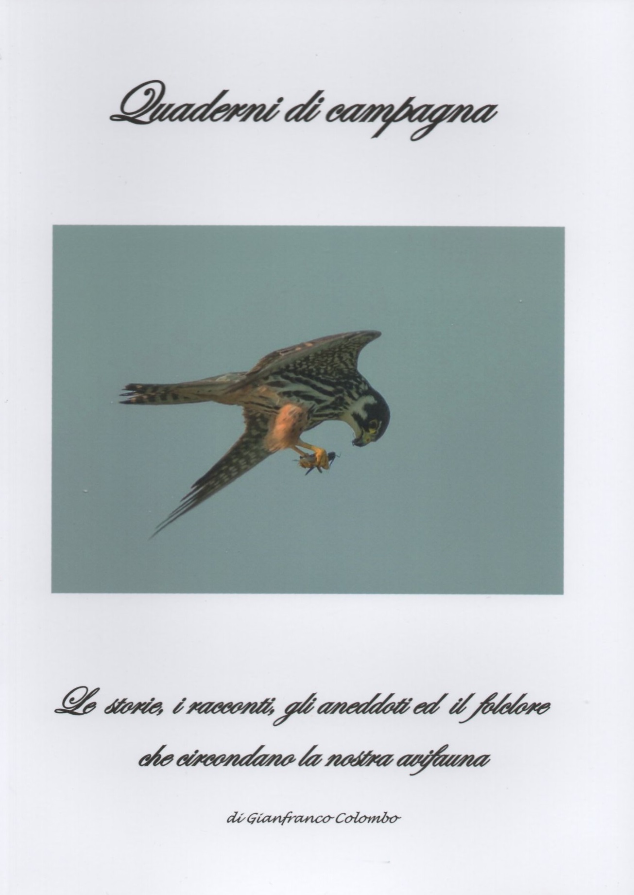 Le storie, i racconti, gli aneddoti ed il folclore che …