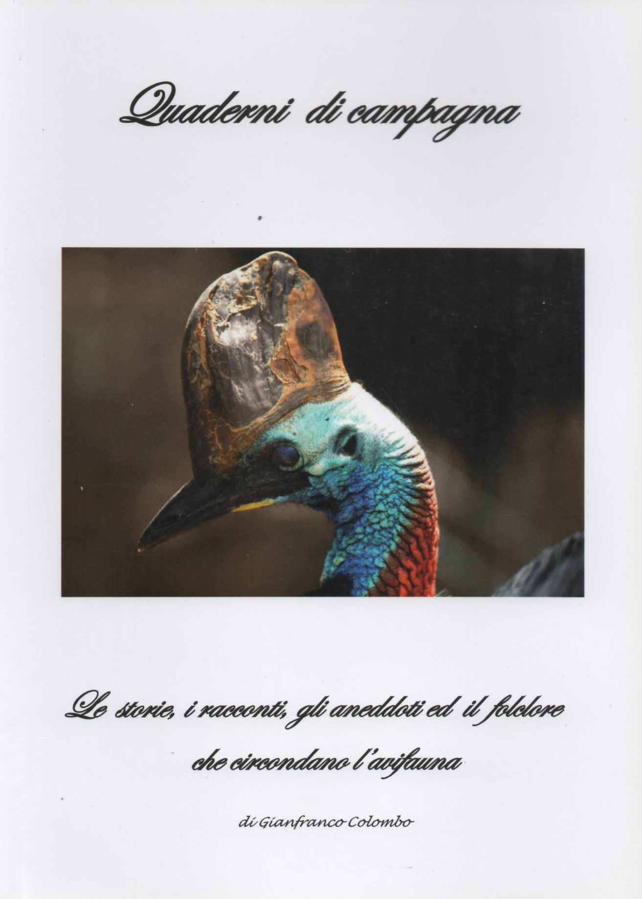 Le storie, i racconti, gli aneddoti ed il folclore che …