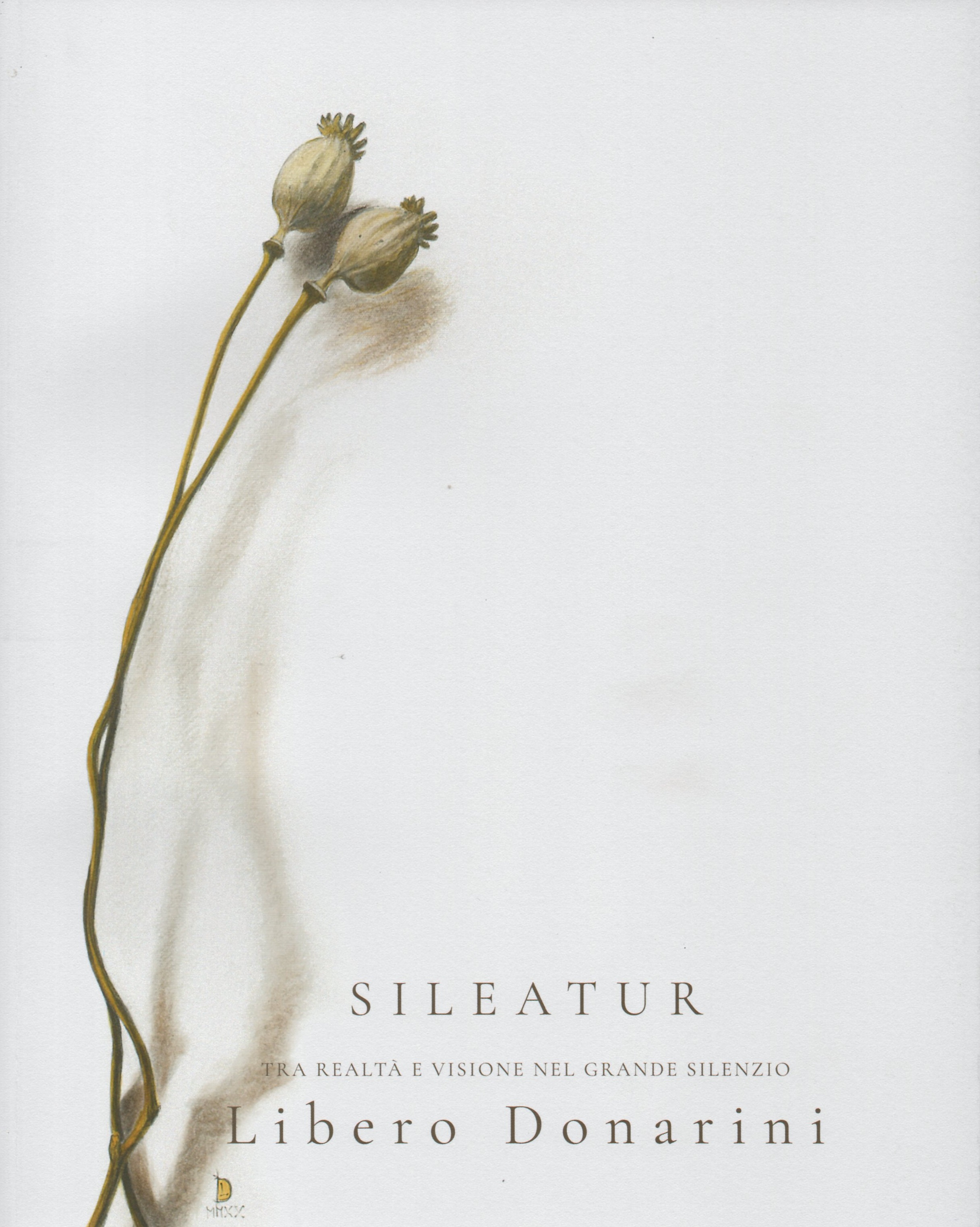 Sileatur. Tra realtà e visione nel grande silenzio. Libero Donarini …